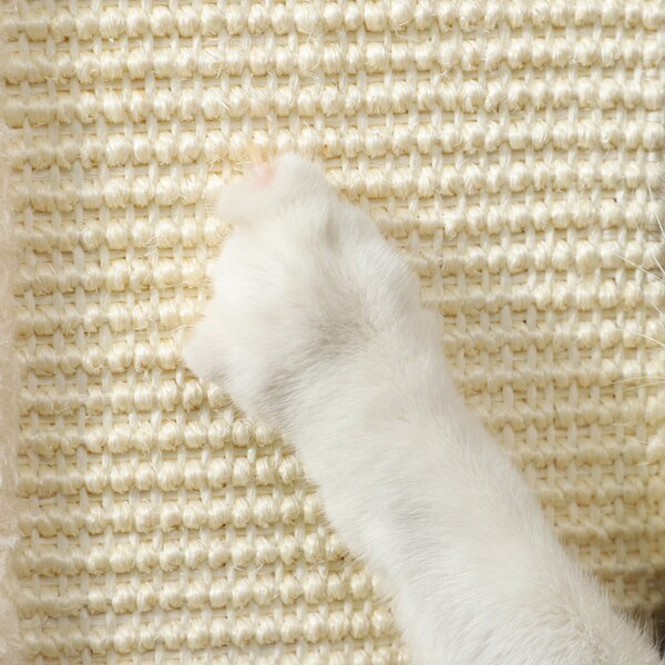 PawHut 3 in 1 Cat Scratching Post, 67cm Cat Scratcher w/ Track Ball Toy, Oak Aosom UK
