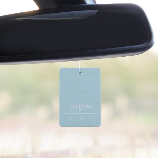 Set of 2 Seagrass Car Air Fresheners