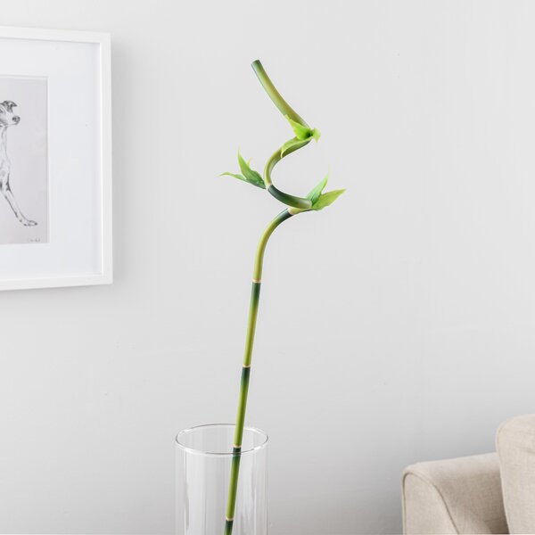 Artificial Lucky Bamboo Stem