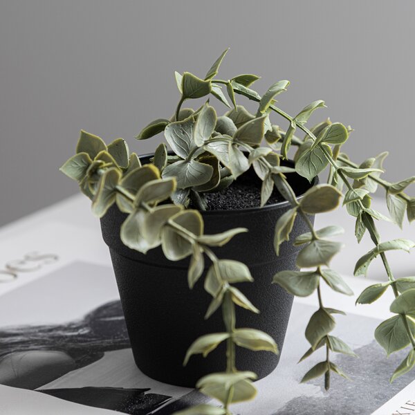 Artificial Trailing Eucalyptus in Black Plant Pot