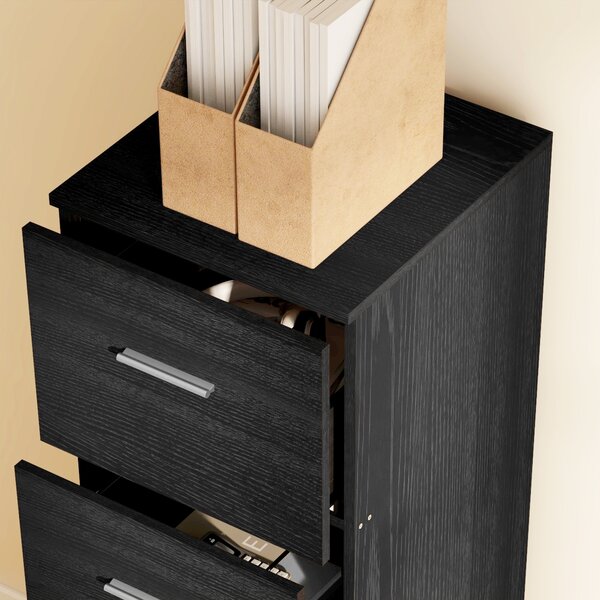 HOMCOM Filing Cabinet with 4 Drawers for Home Office, Tall File Storage Cabinet with Lock, Adjustable Hanging Bar for A4 and Letter Size, Black Aosom UK