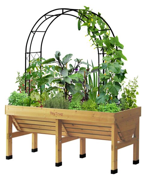 VegTrug Climbing Arch