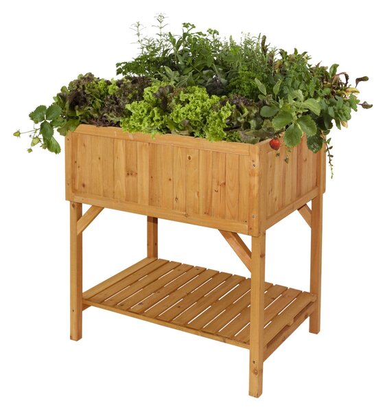 VegTrug Raised Bed Planter