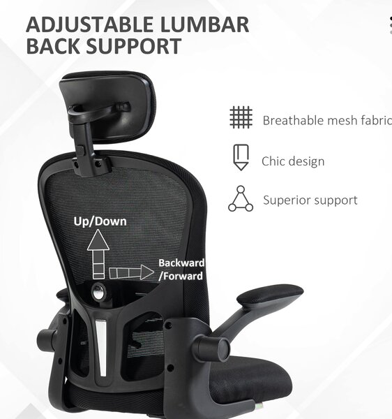Vinsetto Multi-Adjustable Office Chair, with Lumbar Support, Headrest and Mesh Back - Black