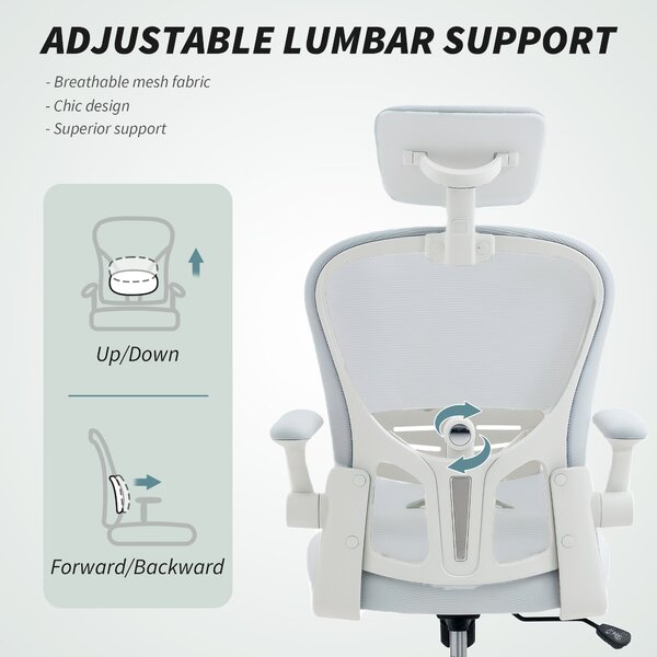 Vinsetto Multi-Adjustable Office Chair, with Lumbar Support, Headrest and Mesh Back - White