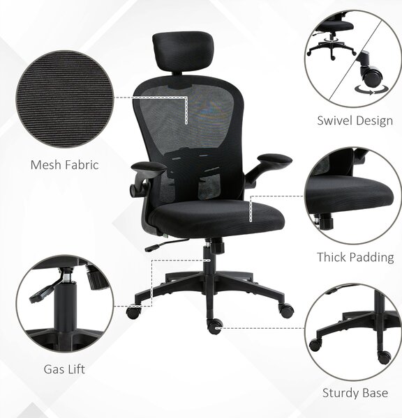 Vinsetto Multi-Adjustable Office Chair, with Lumbar Support, Headrest and Mesh Back - Black