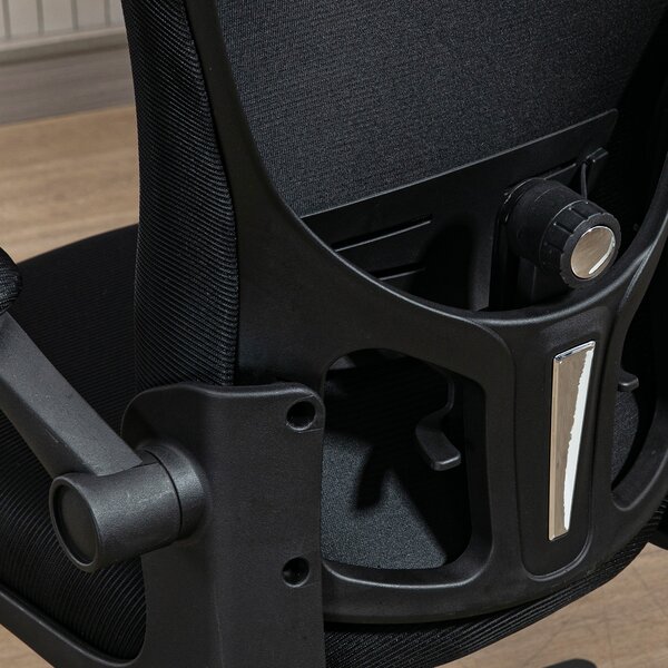 Vinsetto Multi-Adjustable Office Chair, with Lumbar Support, Headrest and Mesh Back - Black