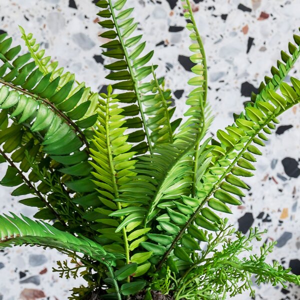 Artificial Boston Fern Plant