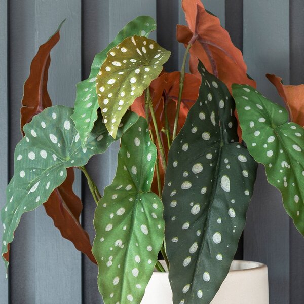 Artificial Polka Dot Begonia Plant