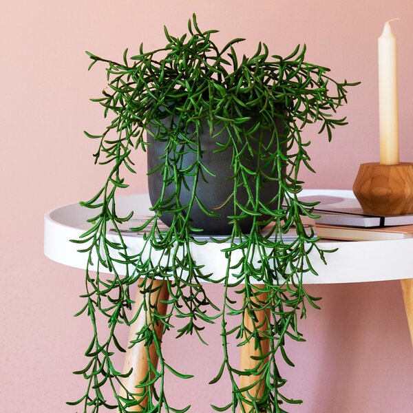 Artificial Hanging String of Dolphins Plant