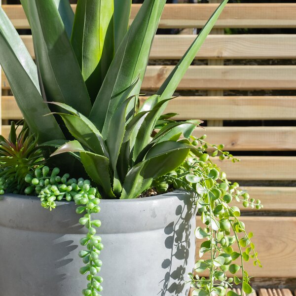 Artificial Oversized Mixed Agave in Grey Pot