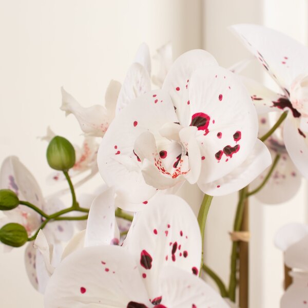 Artificial White Speckled Orchid in Beige Ceramic Plant Pot