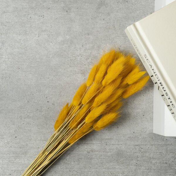 Dried Bunny Tails Bouquet