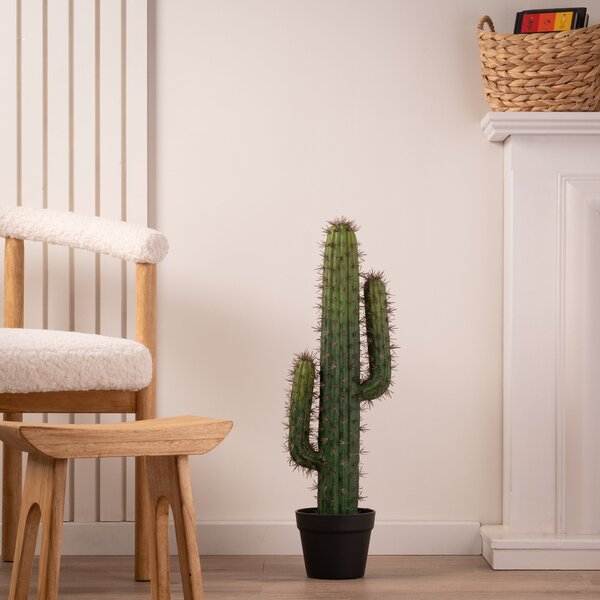 Artificial Cactus in Black Plastic Plant Pot