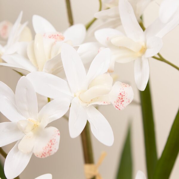 Artificial White Mini Cymbidium Orchid in White Ceramic Plant Pot