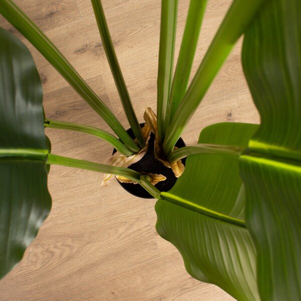 Artificial Real Touch Banana Tree in Black Plastic Plant Pot