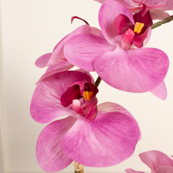 Artificial Pink Phalaenopsis Orchid in Textured Ceramic Plant Pot