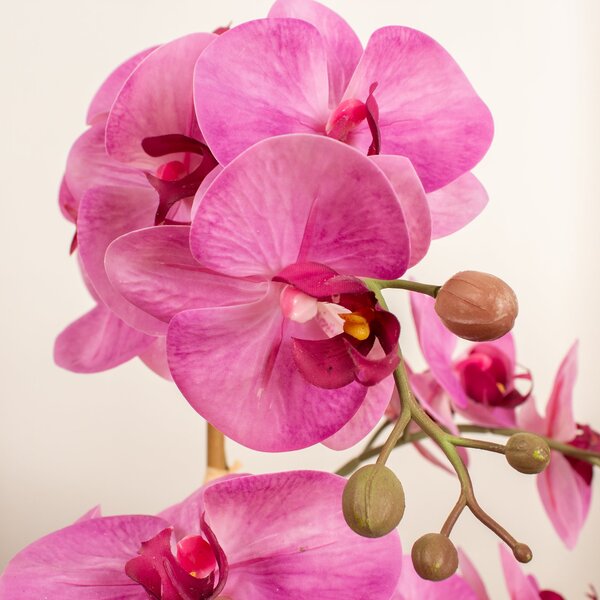 Artificial Pink Phalaenopsis Orchid in Beige Ceramic Plant Pot