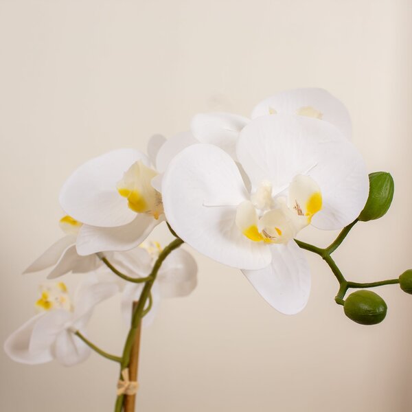 Artificial White Phalaenopsis Orchid in Round Ceramic Plant Pot