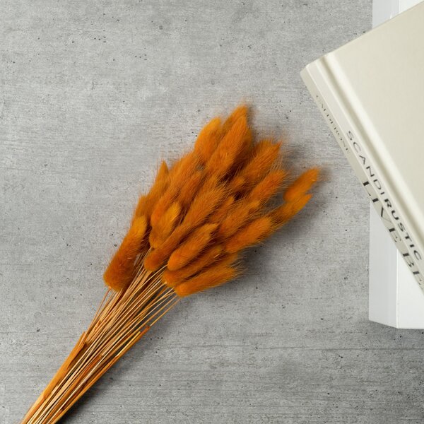 Dried Bunny Tails Bouquet