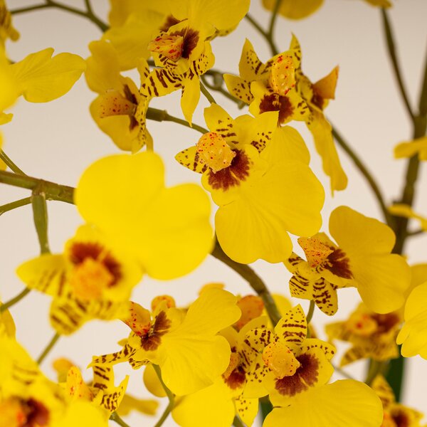 Artificial Yellow Dancing Orchid in Black Ceramic Plant Pot