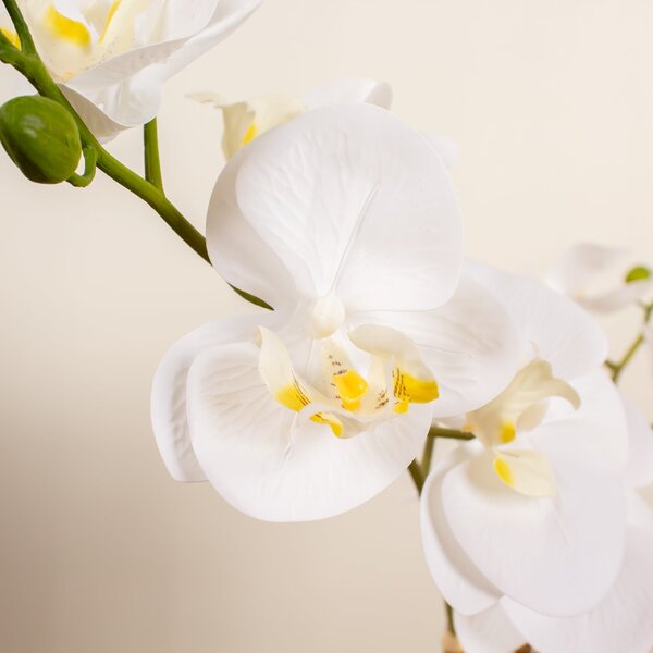 Artificial White Phalaenopsis Orchid in Oval Ceramic Plant Pot