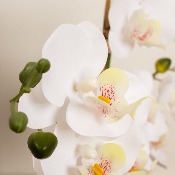 Artificial White Phalaenopsis Orchid in Beige Ceramic Plant Pot