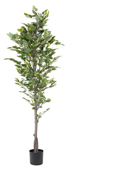 Artificial Ficus Tree in Black Plastic Plant Pot