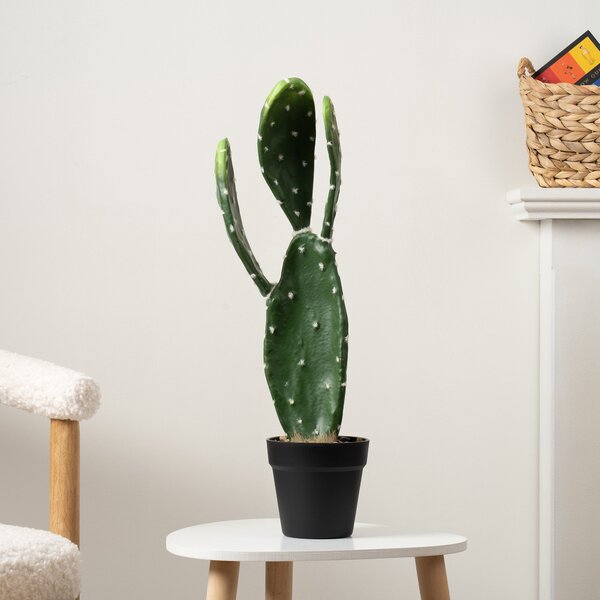 Artificial Prickly Pear in Black Plastic Plant Pot