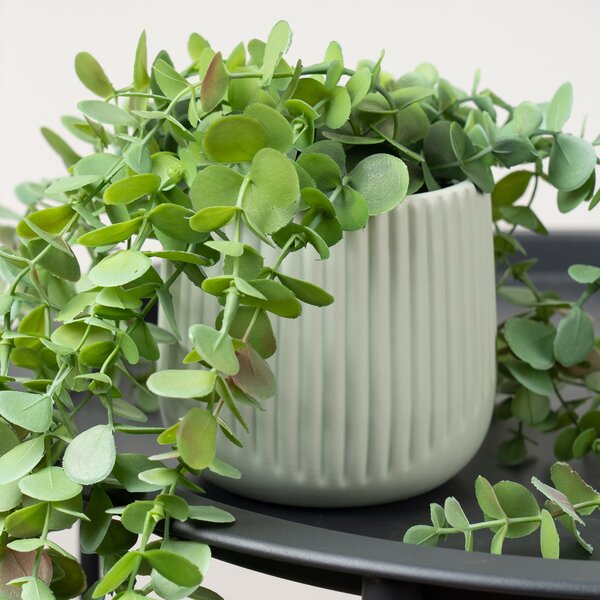 Artificial Trailing Eucalyptus in Black Plastic Plant Pot