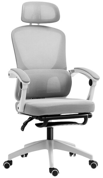 HOMCOM Ergonomic Office Chair, Mesh High Back Desk Chair with Adjustable Lumbar Support and Headrest, Footrest, Reclining Executive Swivel Computer Chair for Home Study, Grey