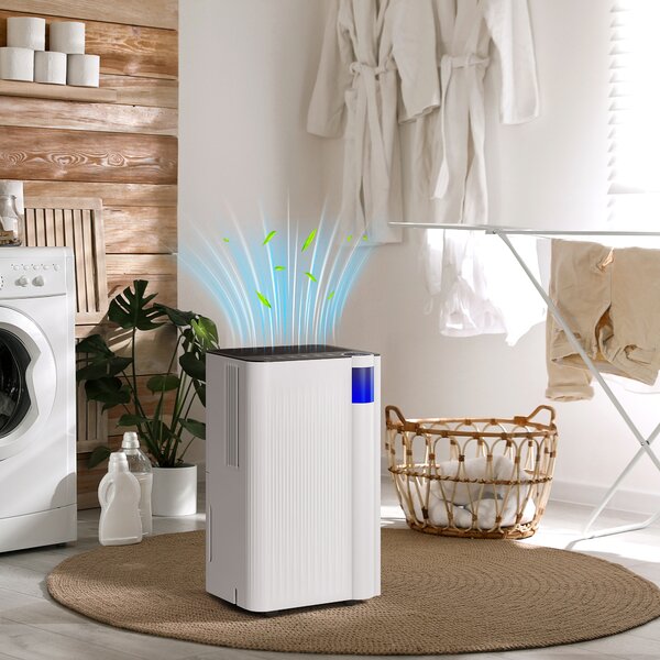 HOMCOM 12L/Day Quiet Dehumidifier with Continuous Drainage, 2L Water Tank, 24H Timer, Digital Humidity Display, Filter, Auto Defrost, for Home Laundry, White Aosom UK