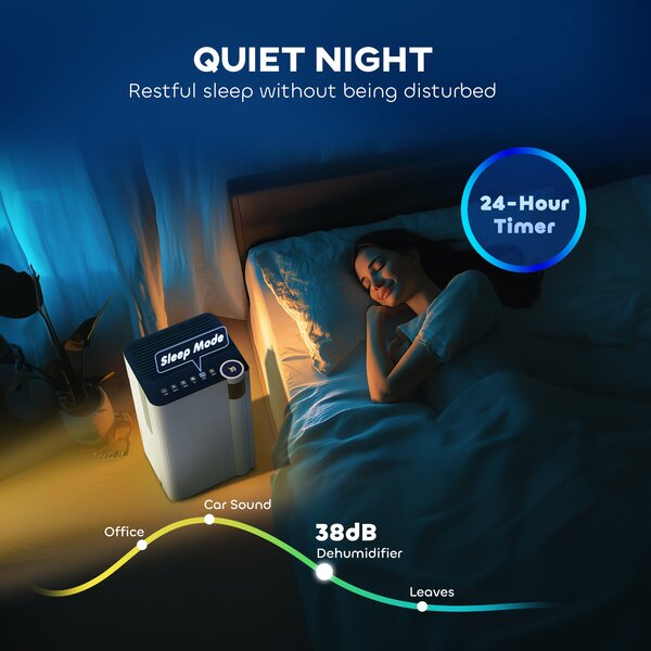 HOMCOM 12L/Day Quiet Dehumidifier with Continuous Drainage, 2L Water Tank, 24H Timer, Digital Humidity Display, Filter, Auto Defrost, for Home Laundry, White Aosom UK