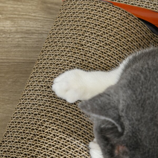 PawHut 2 in 1 Cat Scratching Board with Catnip, Car-shaped Aosom UK