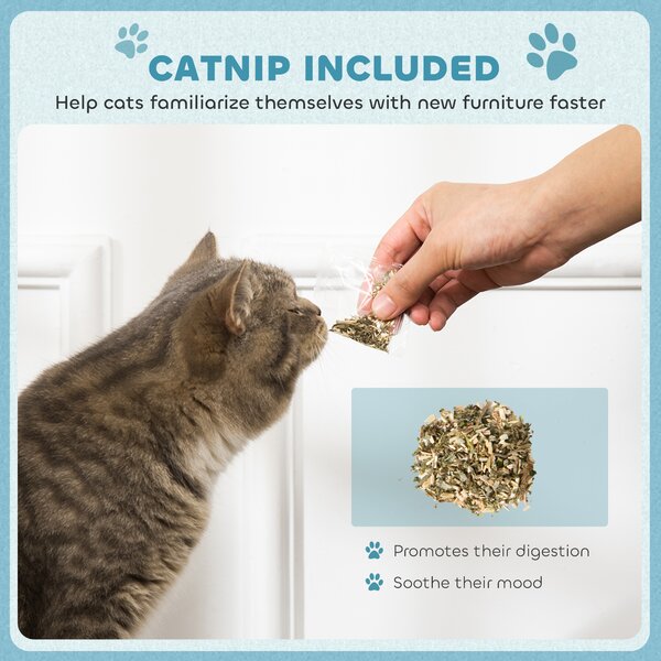 PawHut 2 in 1 Cat Scratcher with Catnip for Indoor Cats, 30.5 x 55 x 31.5cm, Light Blue