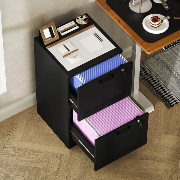 HOMCOM 2 Drawer Filing Cabinet with Lock, Office Storage Cabinet with Adjustable Hanging Bars for A4 Letter Size Files, Black