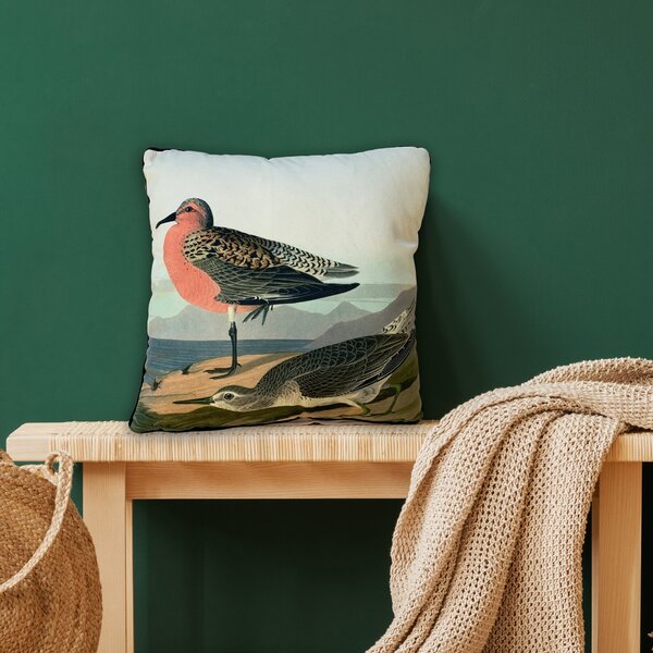 The Art Group John James Audubon Red breasted Sandpiper Velvet Square Cushion