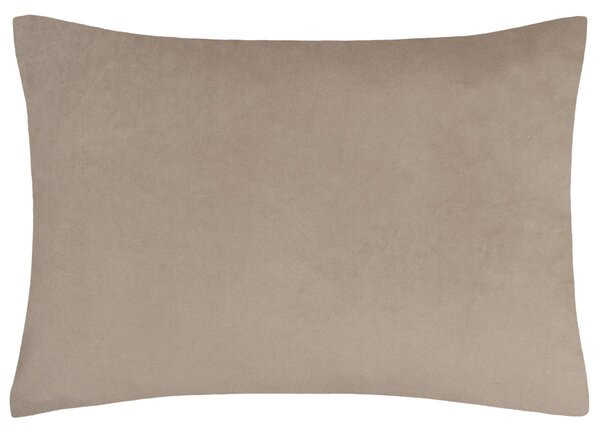 Paoletti Keela Rectangle Cushion