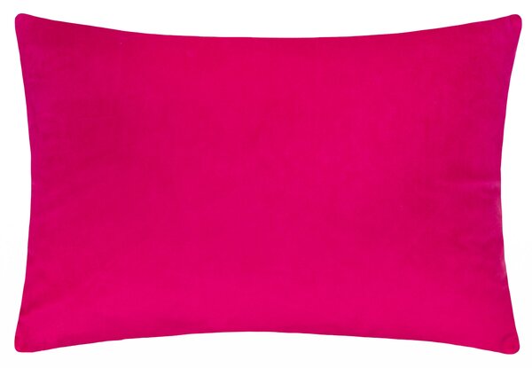 Paoletti Keela Rectangle Cushion