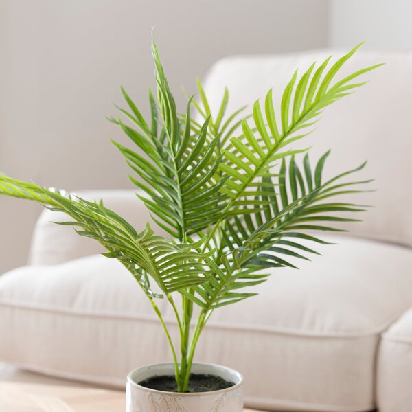 Artificial Palm Plant in White Palm Ceramic Plant Pot