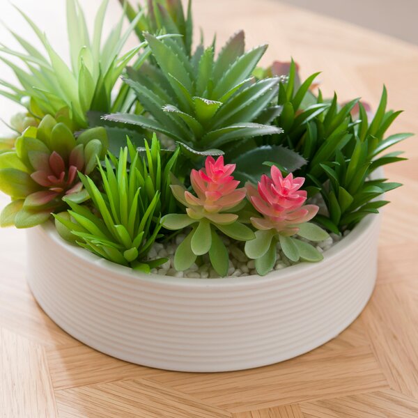 Artificial Succulent in Round Ceramic Plant Pot