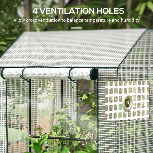 Outsunny Green House, Mini Greenhouse with 2 Roll-up Doors, Vent Holes and Reinforced Cover, 100 x 80 x 150cm