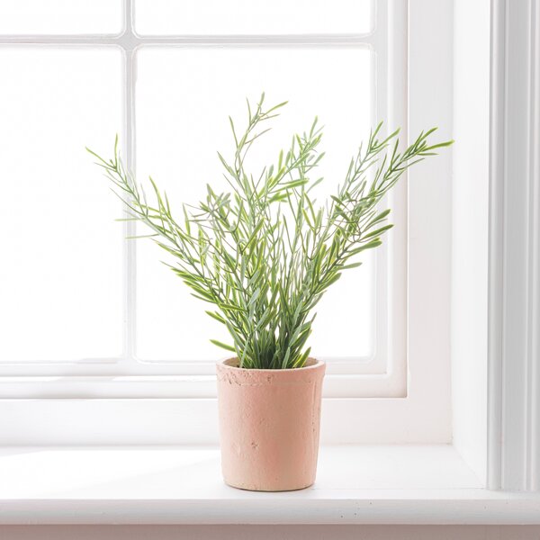 Artificial Rosemary in Orange Cement Plant Pot