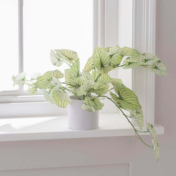 Artificial Caladium in White Plastic Plant Pot