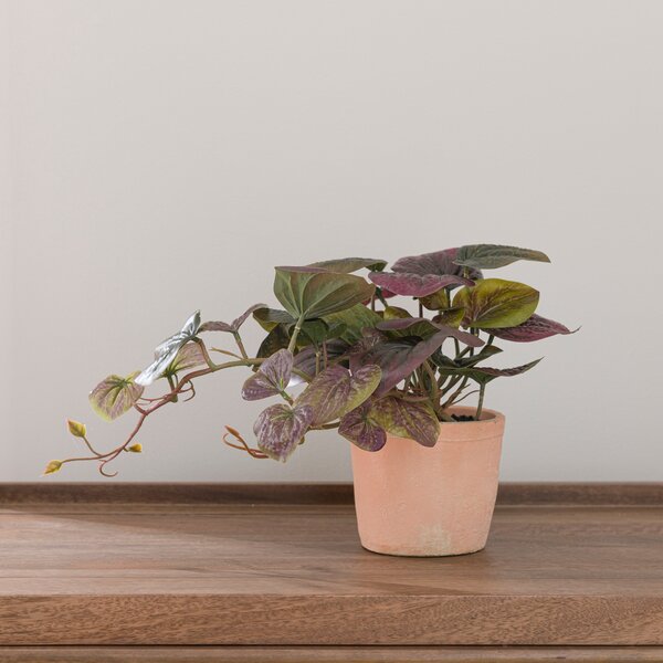 Artificial Peperomia in Orange Cement Plant Pot