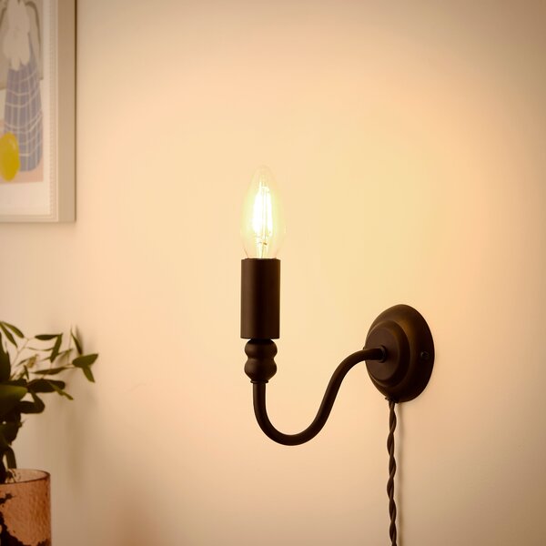 Pride and Joy Plug In Wall Light