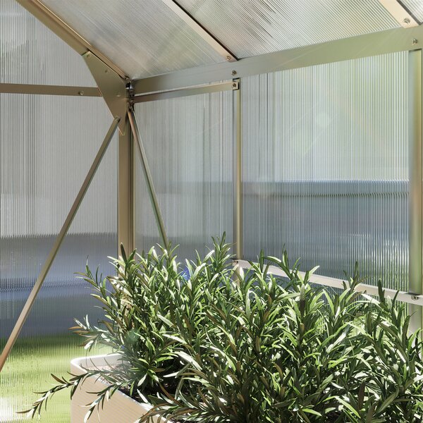 Outsunny 6x8 ft Greenhouse with Sliding Door, Walk-In Greenhouse with Roof & Vent, Durable Garden Greenhouse for Plants, Clear Aosom UK
