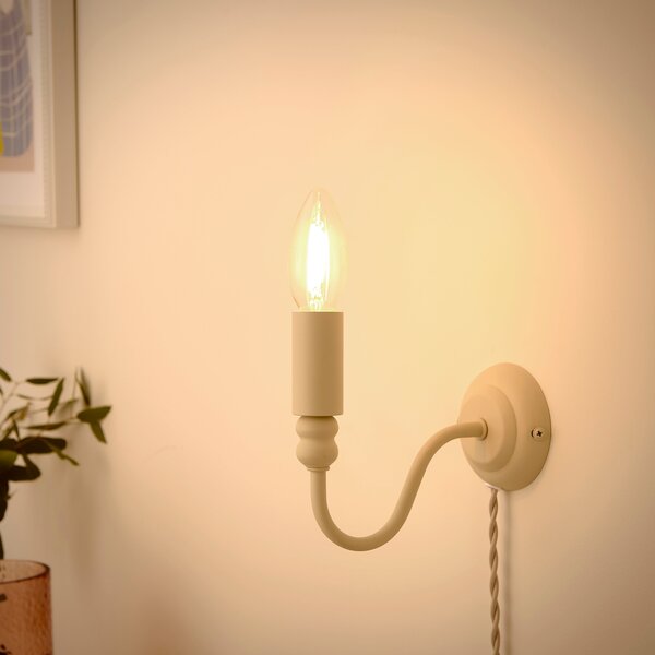 Pride and Joy Plug In Wall Light