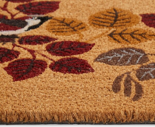 Sparrow Coir Outdoor Doormat