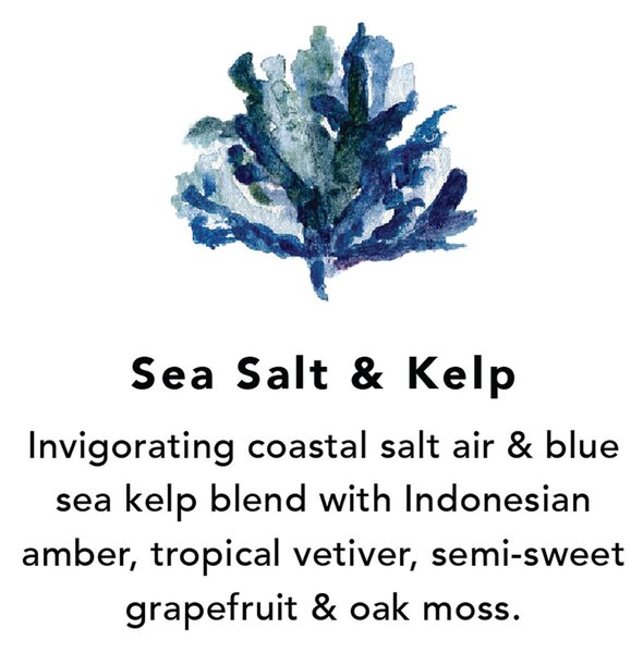 Northern Lights Sea Salt & Kelp Wax Melts